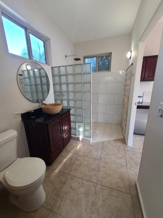 ホテル Pool House With Shared Pool Access ダビッド エクステリア 写真